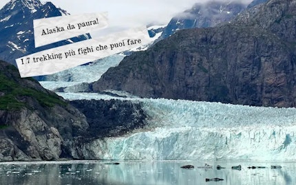 Alaska da paura i 7 trekking pi  fighi
